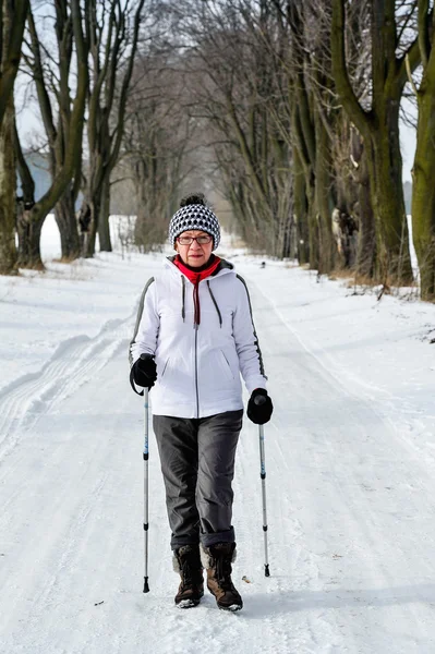 Nordic walking — Stock fotografie