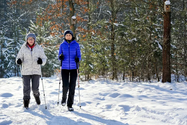 Stavgångpro nordic walking — Stockfoto