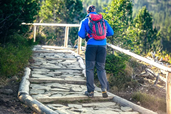 Man wandelaar trektochten in de bergen — Stockfoto