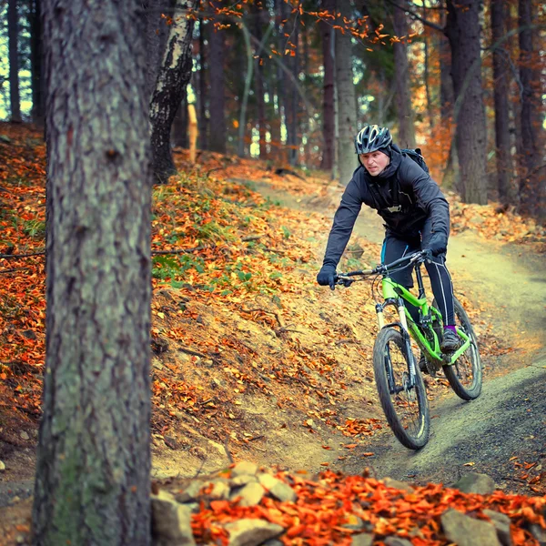 Mountainbiker im Einsatz — Stockfoto