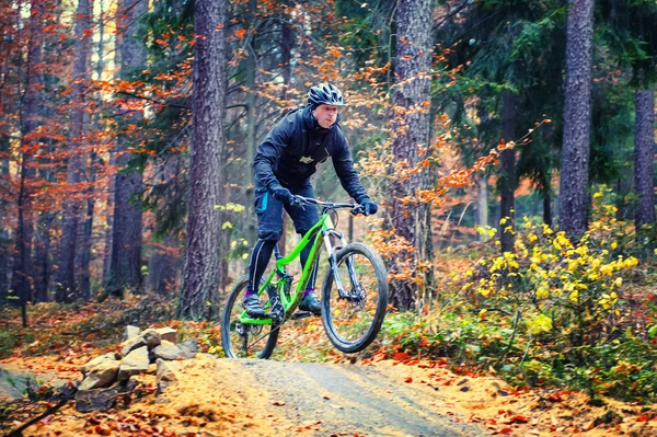 Mountain bike in azione Fotografia Stock