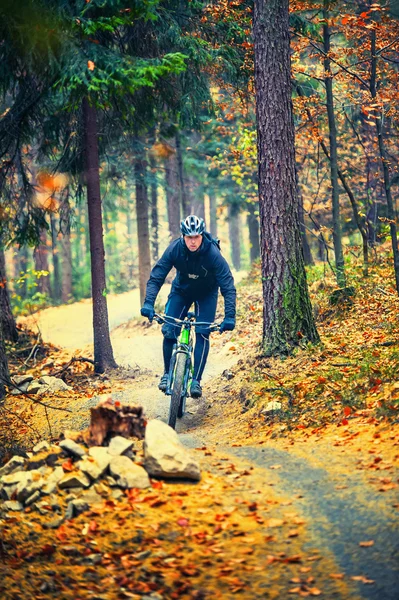 Ciclista de montaña en acción Fotos De Stock Sin Royalties Gratis