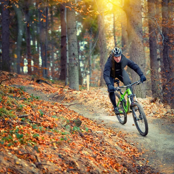 Mountainbike-åkaren i aktion Stockbild