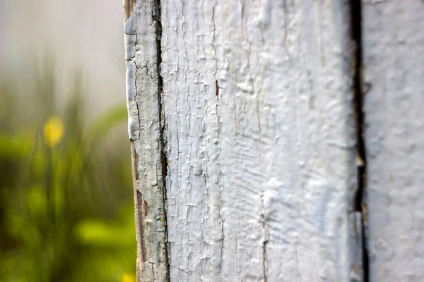 Oude geschilderde houten muur — Stockfoto