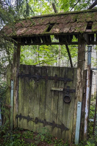Porta velha de madeira — Fotografia de Stock