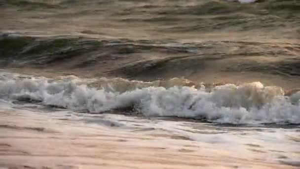Море вранці — стокове відео
