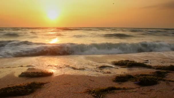 Salida del sol sobre el mar — Vídeo de stock