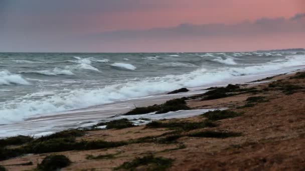 Sonnenaufgang über dem Meer — Stockvideo