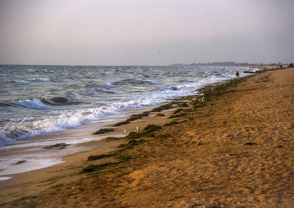 Playa de mar mañana — Foto de Stock