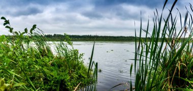 Shatskyi Lakes grubunun Krugle Gölü manzarası, Shatsk Ulusal Doğal Parkı, Batı Ukrayna 'nın Volyn bölgesi. Krugle Ukraynaca 'dan Yuvarlak olarak çevrilir