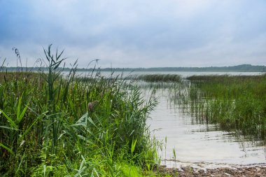 Shatskyi Lakes grubunun Peremut Gölü manzarası, Shatsk Ulusal Doğal Parkı, Batı Ukrayna 'nın Volyn bölgesi 