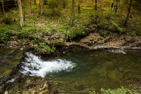 Pequeno Rio Rápido Com Pequena Cachoeira Floresta Parque Nacional Skolivski — Fotografia de Stock