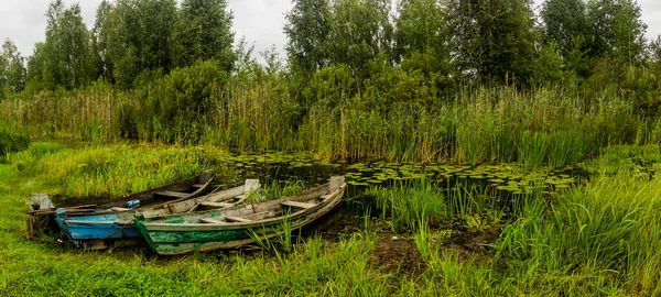 Batı Ukrayna Nın Volyn Bölgesindeki Shatsk Ulusal Doğal Parkı Shatsk — Stok fotoğraf