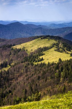 Dağların ve ormanın Karpatya manzarası, ulusal park Skolivski beskidy, Batı Ukrayna 'nın Lviv bölgesi