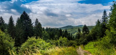 Batı Ukrayna 'nın Lviv bölgesinde ulusal park Skolivski beskidy, Karpat Dağları kırsal yol ve manzara
