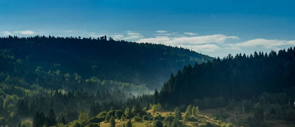 Paisagem Dos Cárpatos Das Montanhas Floresta Parque Nacional Skolivski Beskidy — Fotografia de Stock