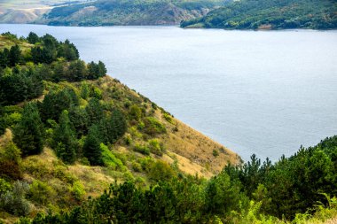 Dinyester Nehri manzarası, Ulusal Doğa Parkı Podilski tovtry, Batı Ukrayna 'nın Khmelnytsky bölgesi