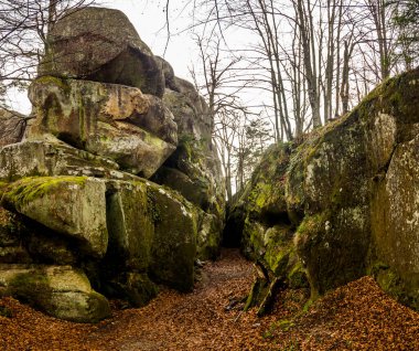 Batı Ukrayna 'nın Ukrayna Karpatya, Poliyanytskiy Bölgesel Peyzaj Parkı, Ivano-Frankivsk bölgesindeki Dovbush manzaralı kayalar
