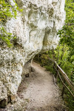 Batı Ukrayna 'nın Khmelnitskiy bölgesindeki Podilski tovtry Ulusal Parkı' ndaki Bakota Mağara Manastırı 'na yakın bir duvar.