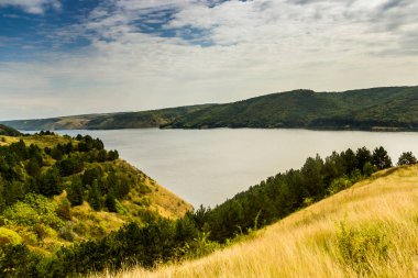 Dinyester Nehri manzarası, Ulusal Doğa Parkı Podilski tovtry, Batı Ukrayna 'nın Khmelnytsky bölgesi