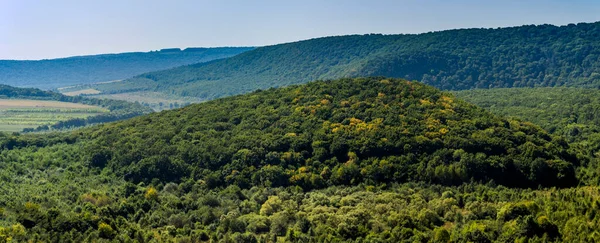 Wide View Decidious Forest Ternopil Region Western Ukraine — Stock Photo, Image