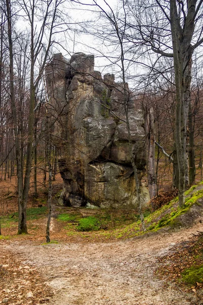 Skály Dovbush Pohled Ukrajinském Karpat Polyanytskiy Regionální Krajinný Park Ivano — Stock fotografie