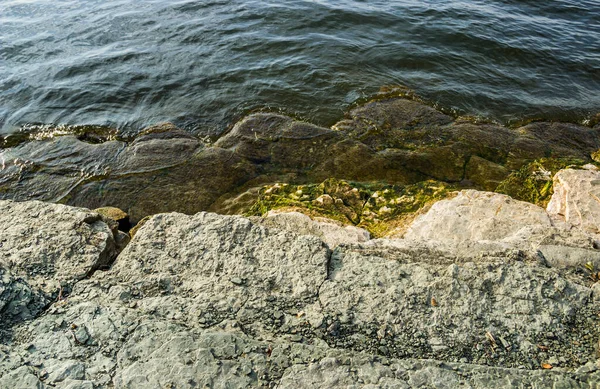 Detail Kamenů Vody Blízkosti Břehu Bakotský Záliv Dnistrovská Nádrž Řeka — Stock fotografie