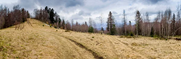 Panorama Montagne Wovcha Dans Les Carpates Parc National Skolivski Beskidy — Photo