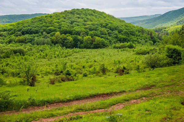 Paisaje Bosque Caducifolio Región Ternopil Del Oeste Ucrania —  Fotos de Stock