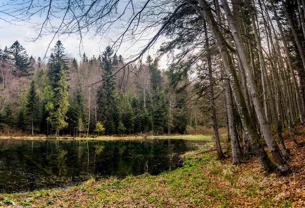 Lago Polianytske Nella Foresta Montagne Carpatiche Parco Nazionale Skolivski Beskidy — Foto Stock