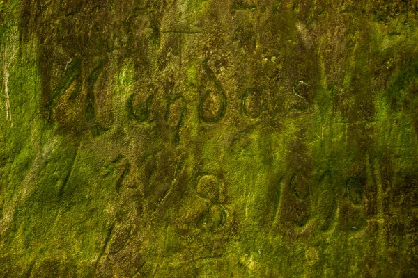 Nahaufnahme Inschrift Des Jahres 1909 Auf Felsen Des Dovbusch Den — Stockfoto