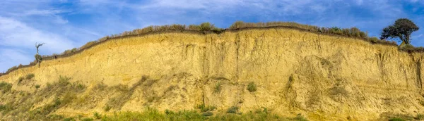 Sanzhijka, Odessa bölgesi, Ukrayna 'daki Karadeniz sahilindeki kumtaşı kayalıkları.