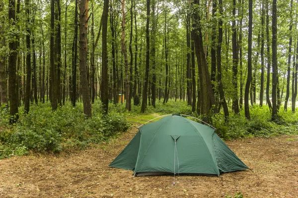 Tenda Turística Verde Floresta Pinheiros — Fotografia de Stock