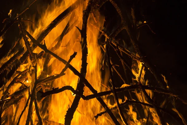 Campfire — Stock Photo, Image