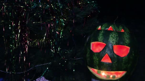 Halloweens watermelon under the christmas tree — Stock Video