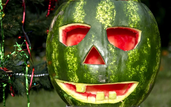 Halloweens vannmelon under juletreet – stockfoto