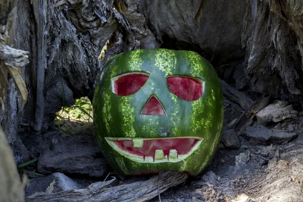 Halloweens vannmelon – stockfoto