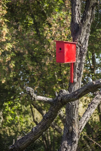 Rood nesten vak — Stockfoto