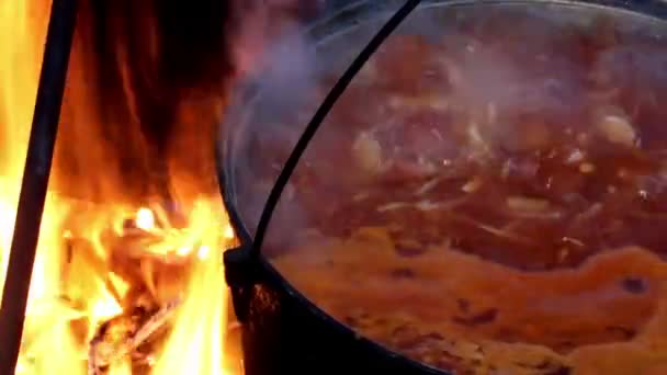 Vaření červený boršč — Stock video