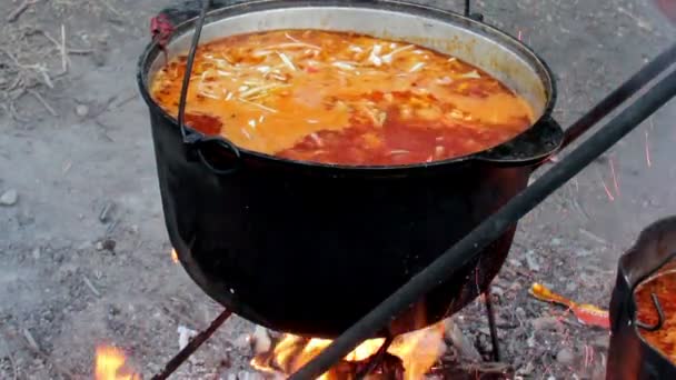 赤いボルシチを料理 — ストック動画