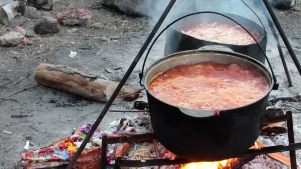 Rode borsch koken — Stockvideo