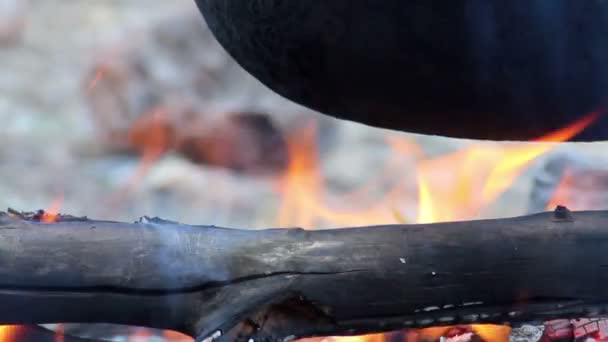 Kamp ateşi üzerinde kazan — Stok video