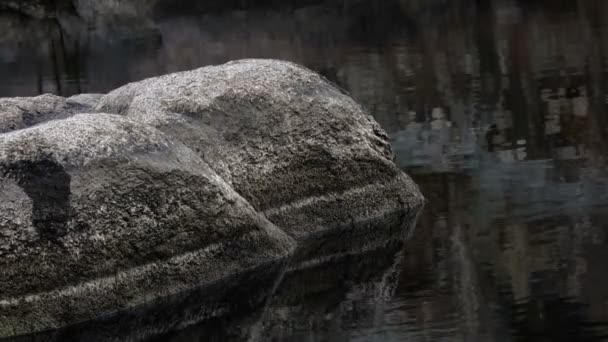 Kamień w rzece — Wideo stockowe