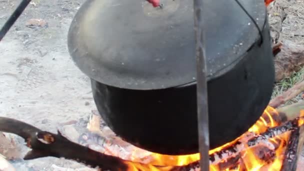 Cauldron on campfire — Stock Video