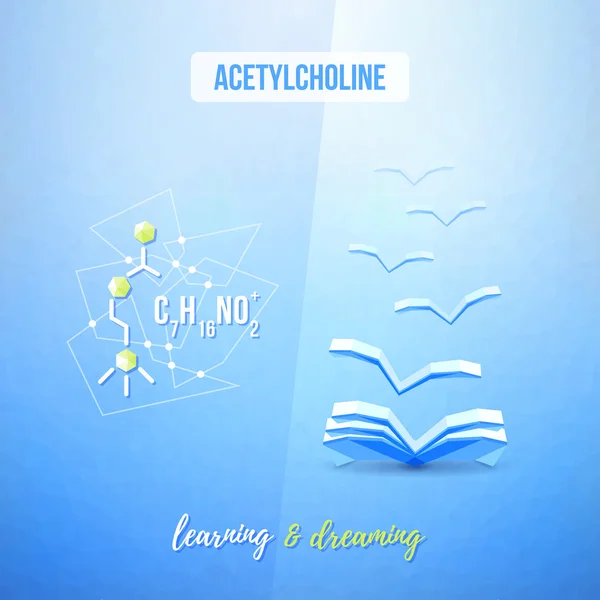 Chimie de l'acétylcholine conception éducative basse poly. Concept d'apprentissage et de bibliothèque — Image vectorielle