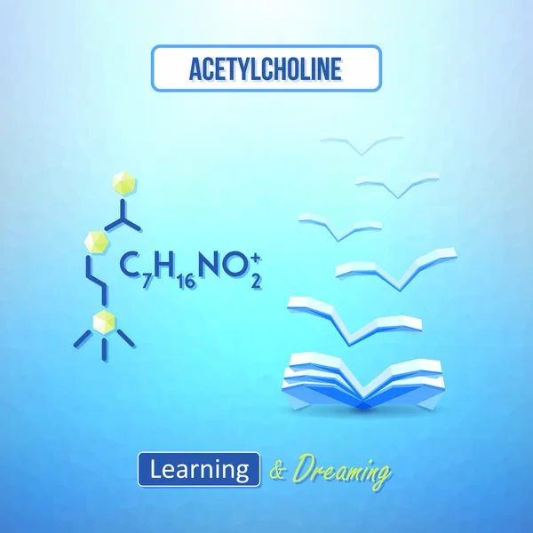 Learn chemistry concept. Chemical poster with acetylcholine formula. Learning and dreaming inspirational design — Stock Vector