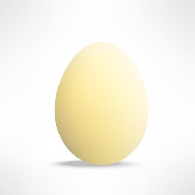 Vektör gerçekçi sarı yumurta