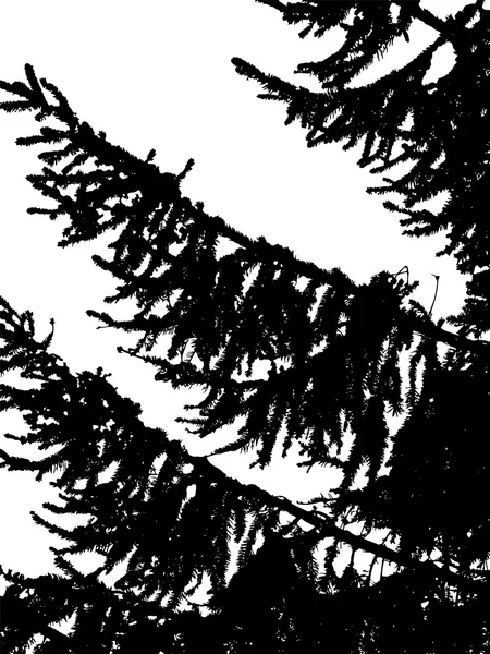 Σιλουέτα του δέντρου το χειμώνα — Διανυσματικό Αρχείο