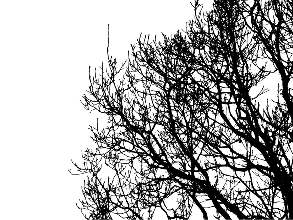 Silhouette albero in inverno — Vettoriale Stock