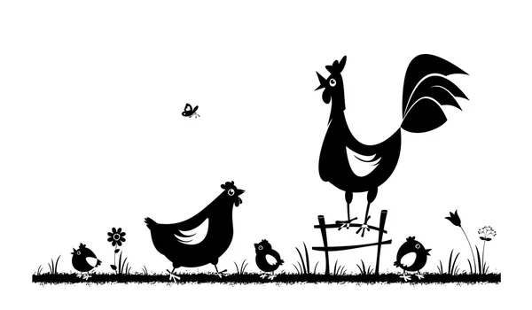 Pollo e gallo. Galline domestiche . Illustrazioni Stock Royalty Free